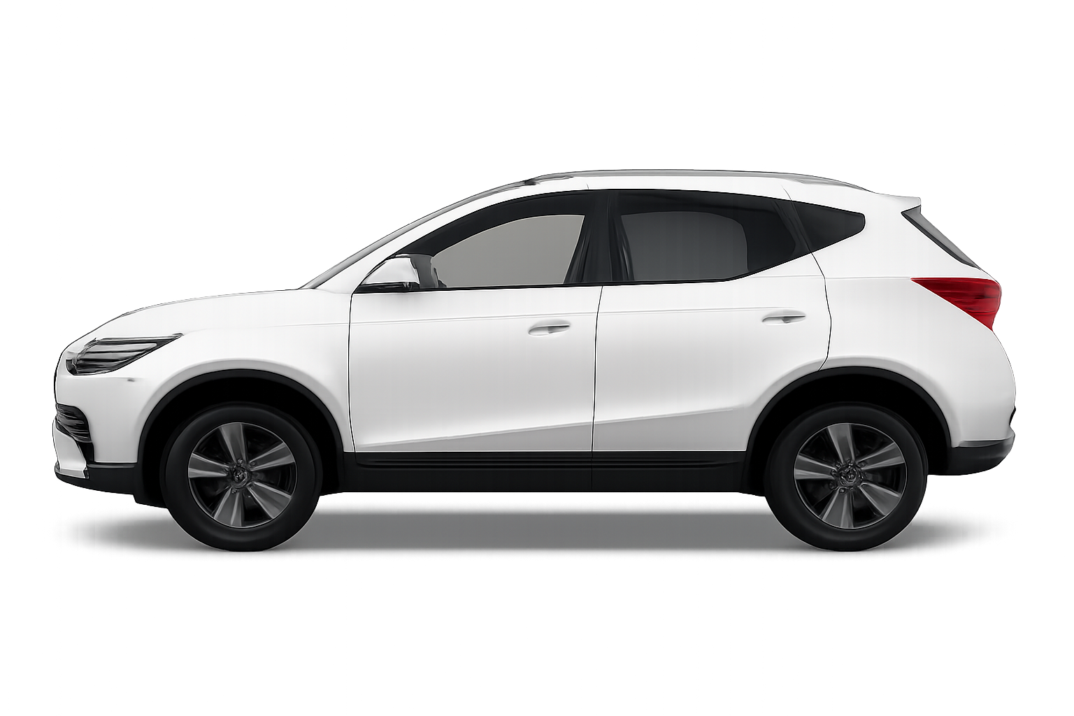 mg mg zs pro