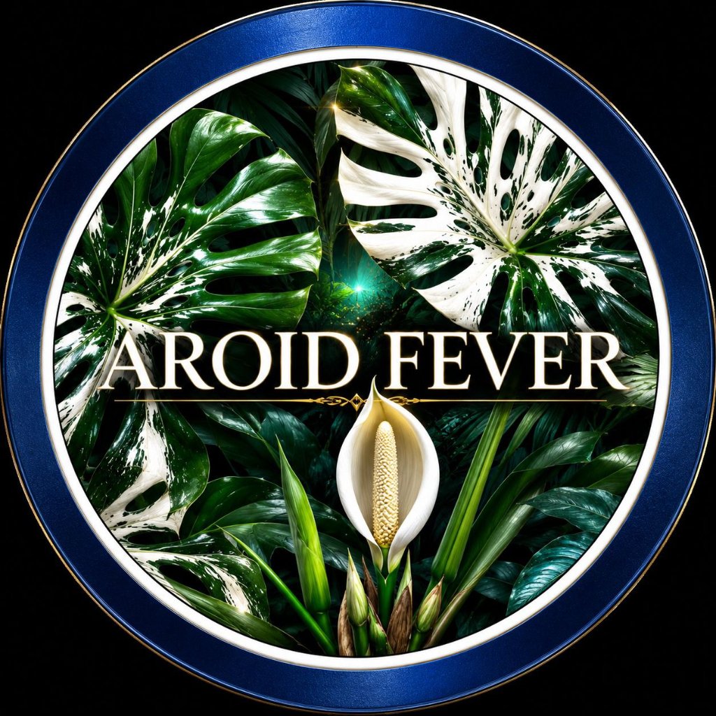 AROID FEVER