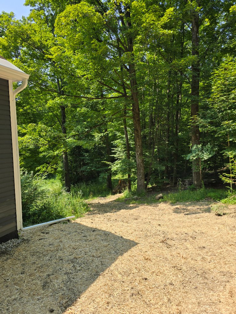 Completed site — regraded terrain and swales directing surface water away from the foundation