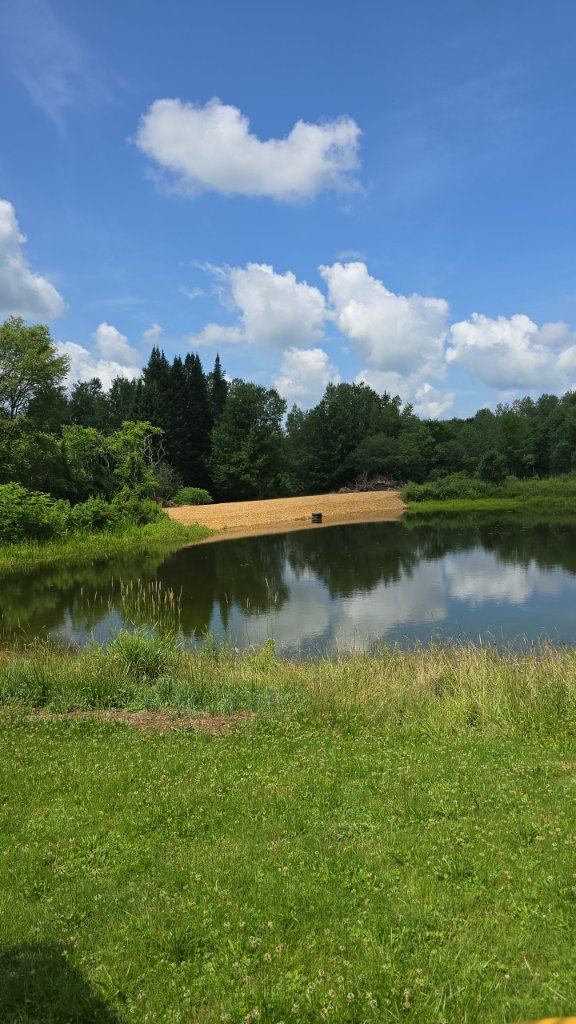 Restored Vermont pond after dam overflow repair with biodegradable straw erosion blankets