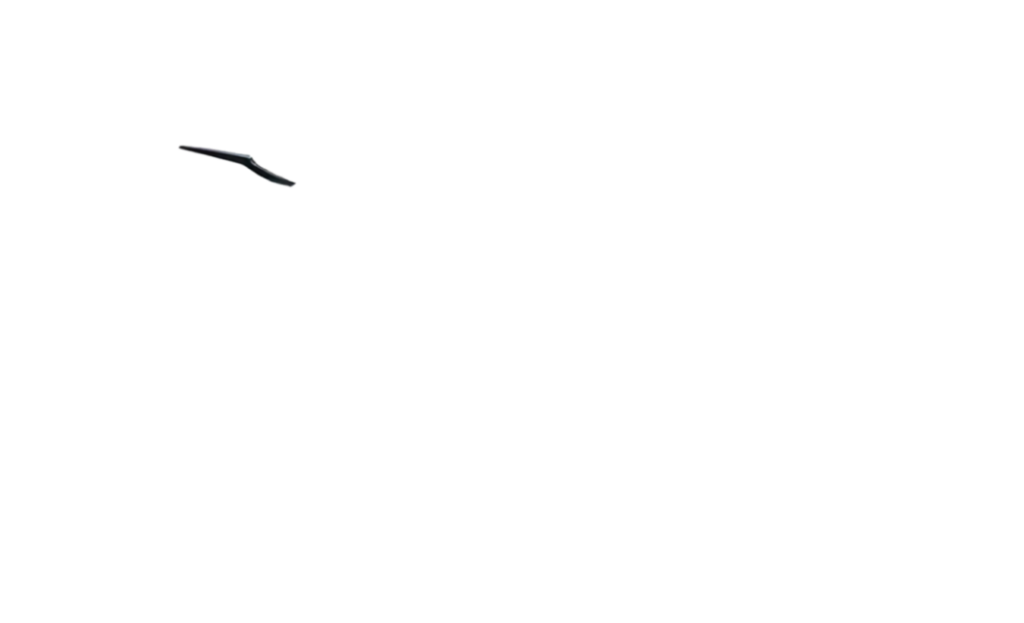 rear_fender