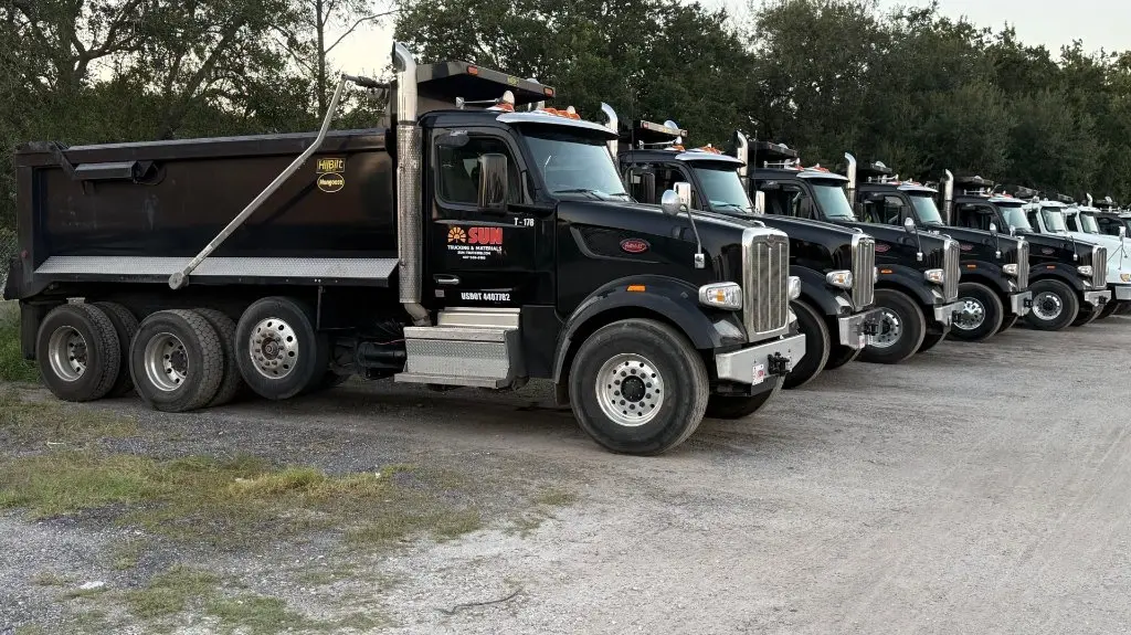Row of Sun Trucking dump trucks parked in the yard