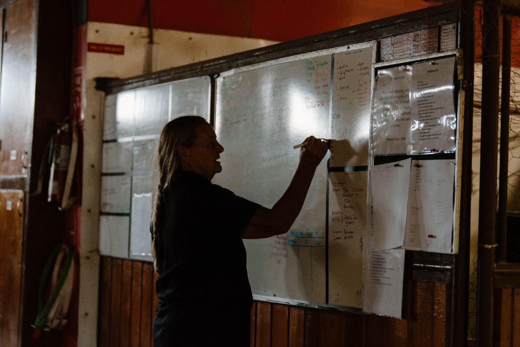 Beginner Programs & Riding Lessons