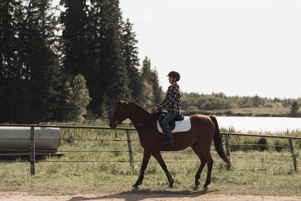 Riders on a wooded trail