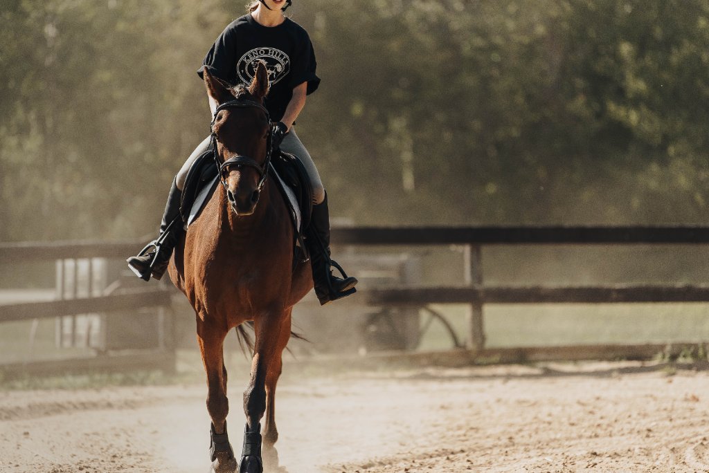 Young riders in the arena