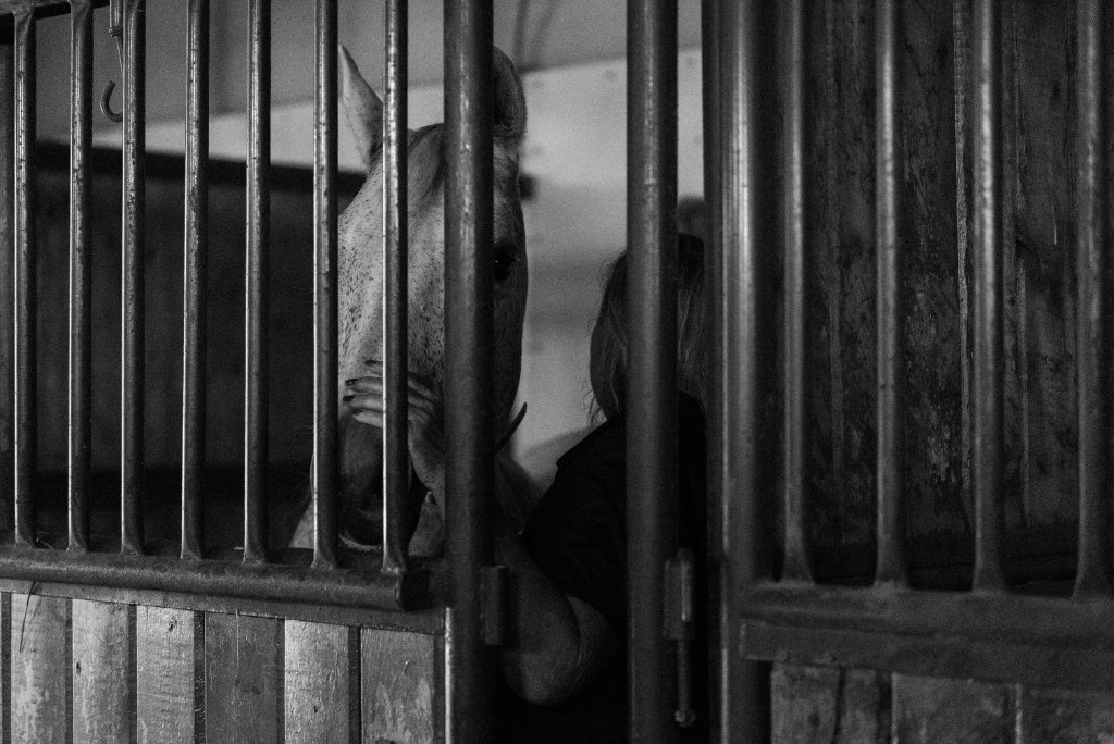 Tack for Lessons & Camps