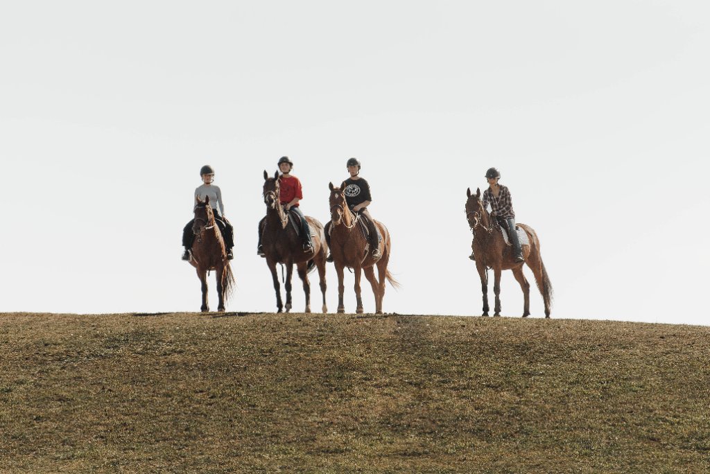 Unmounted Pony Party