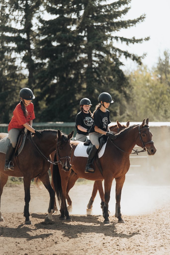 Rider with horse in arena