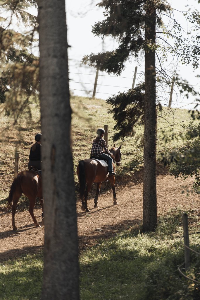Rider walking through forest