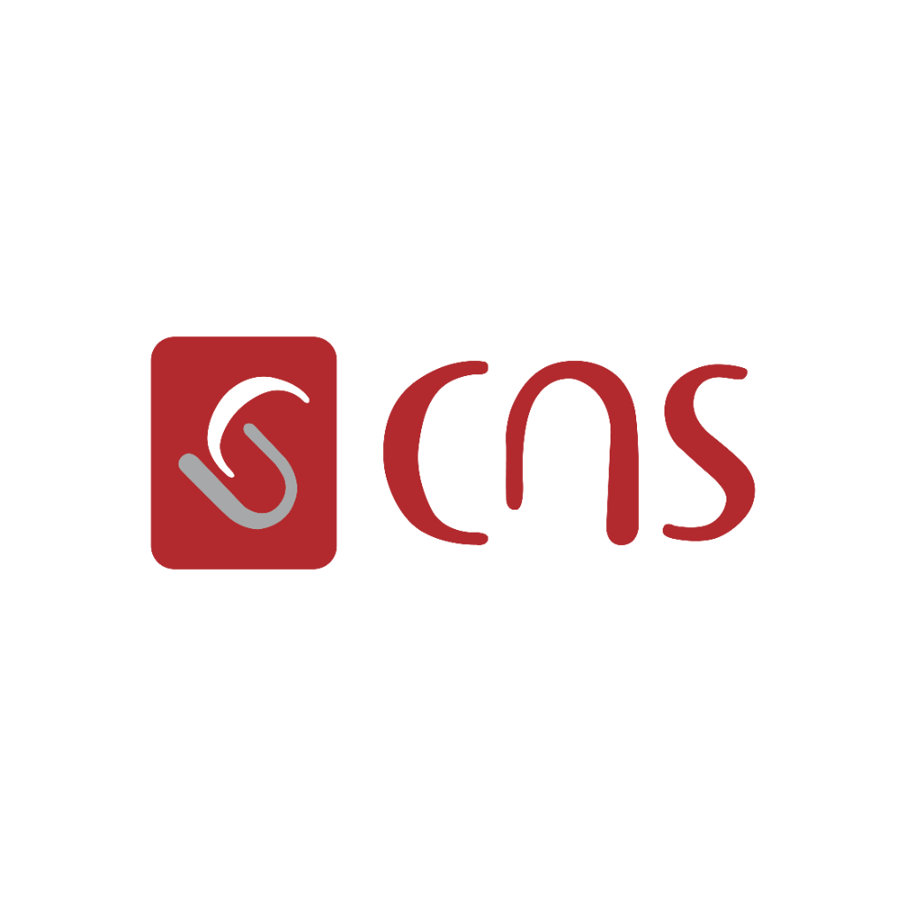 CNS Engineering On Demand Logo