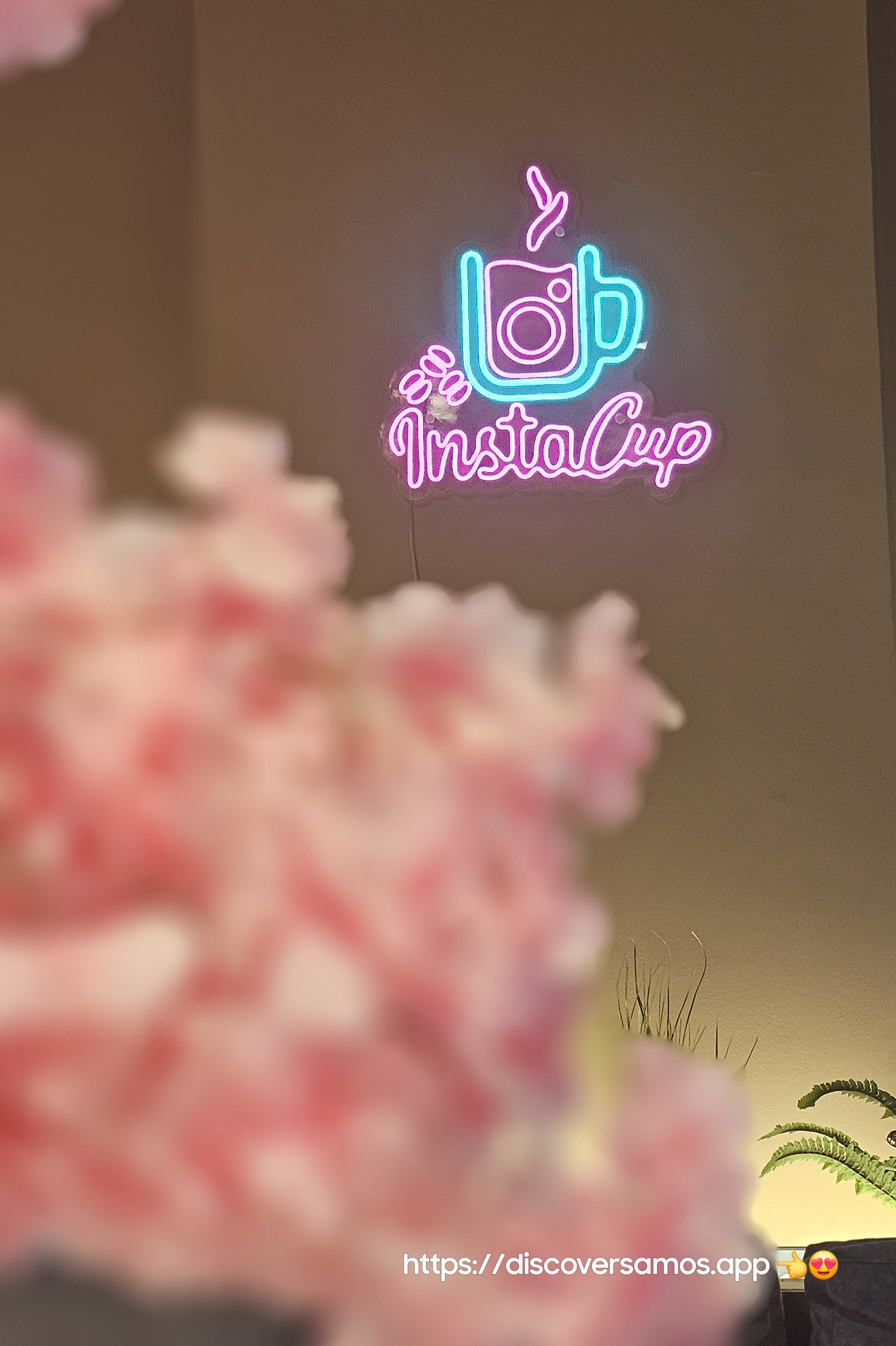 Instacup 2