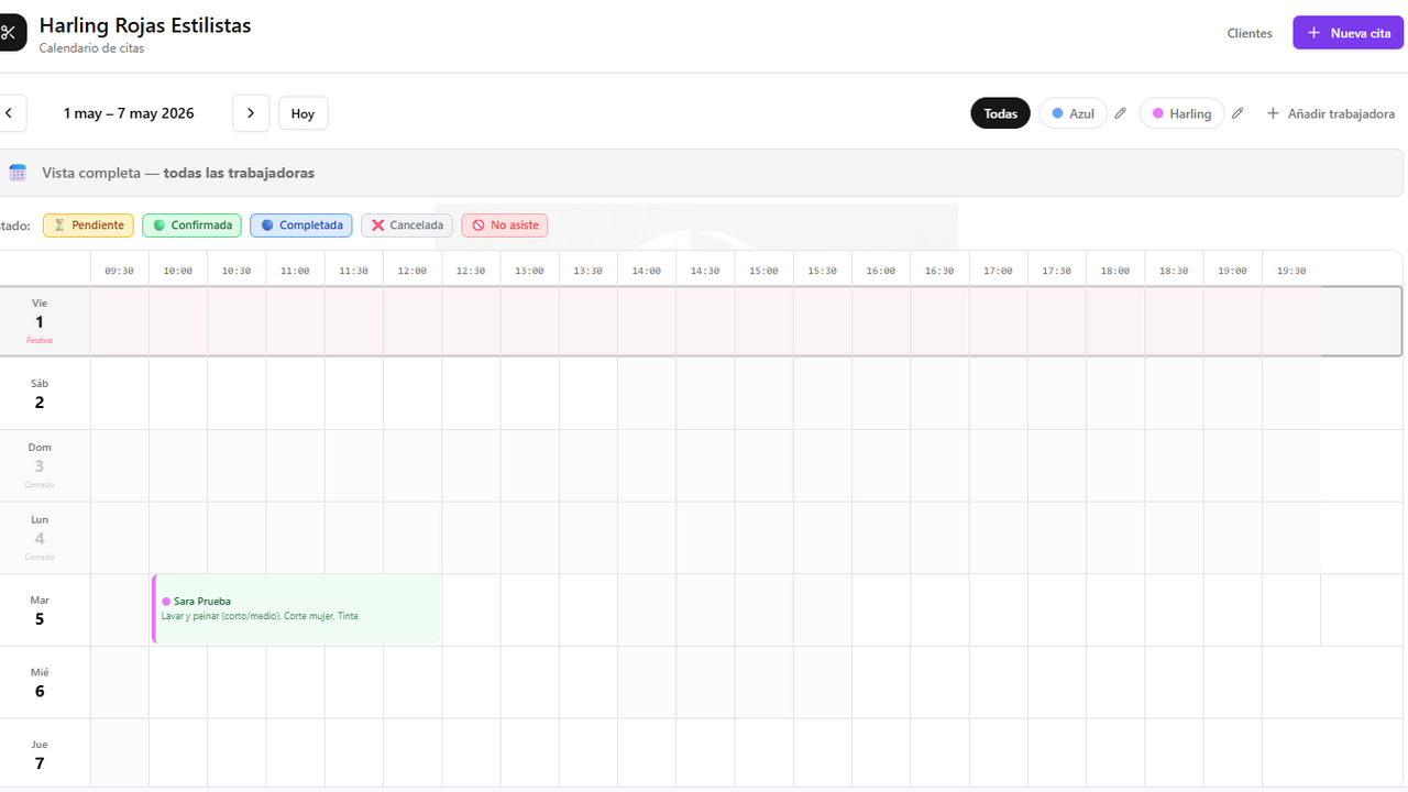  Gestor citas demo template preview