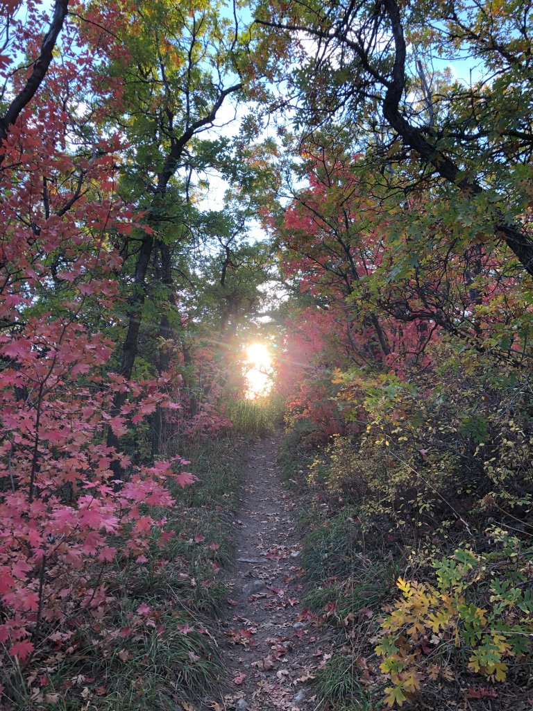 Autumn trail in the Wasatch Mountains
