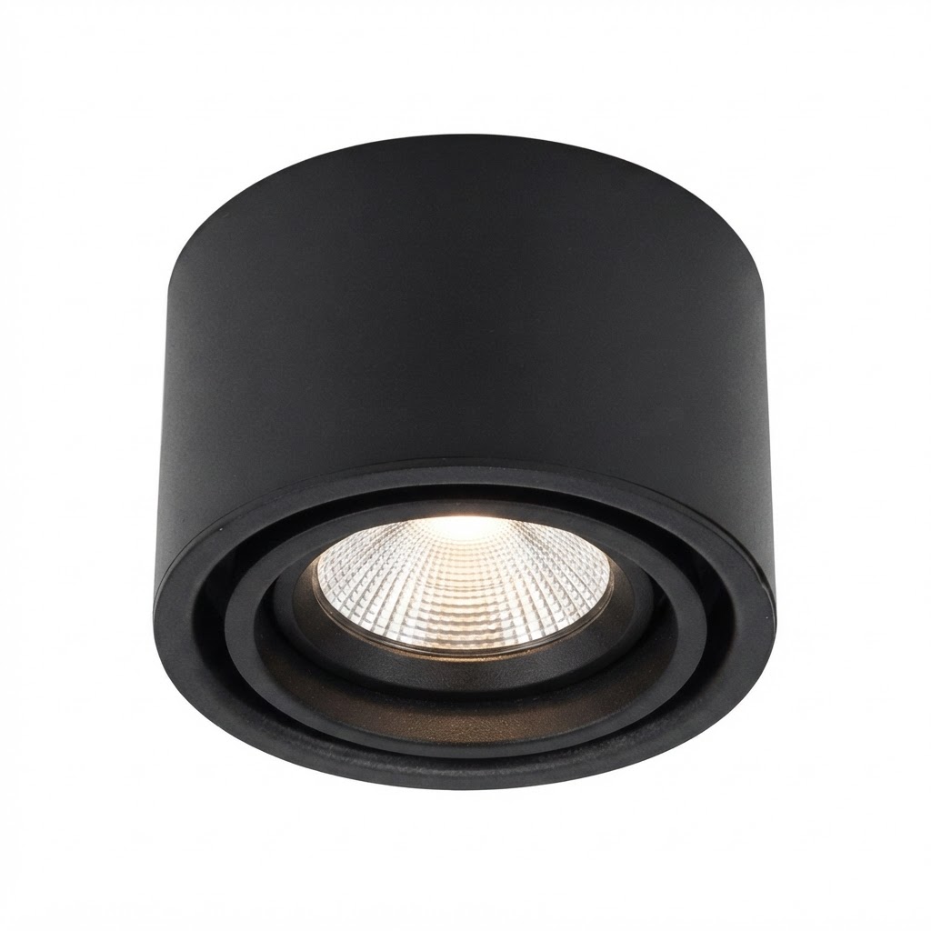 LED луна за открит монтаж 12W 80LM/W черна 3000K Bridgelux чип регулируема 4