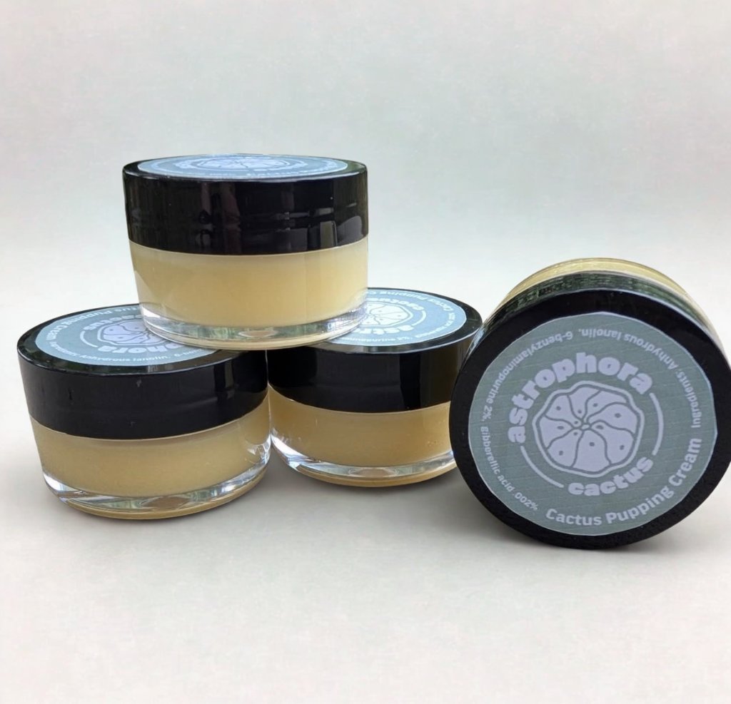 Mesc (resin)