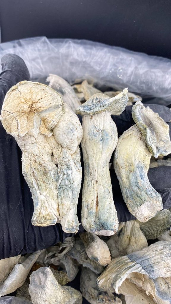Mushrooms (per Oz)