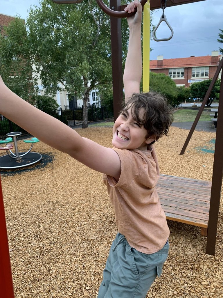 Monkey bars at the playground