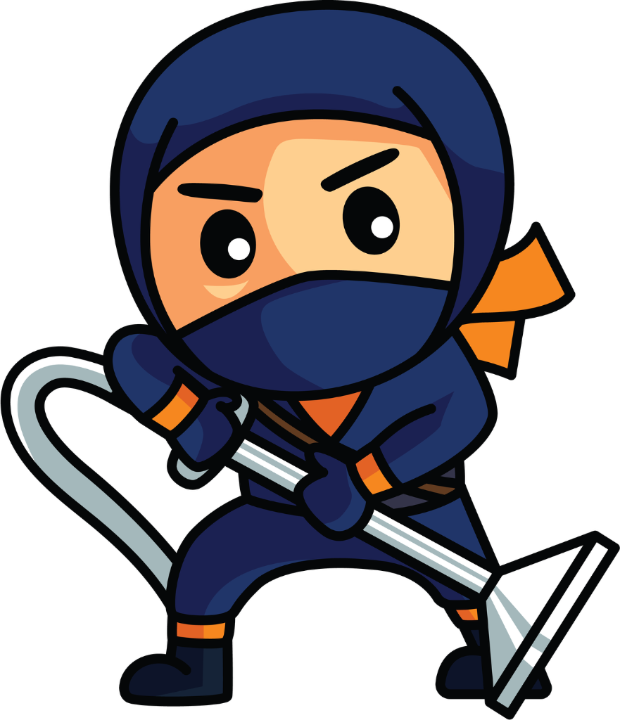 Carpet Ninja
