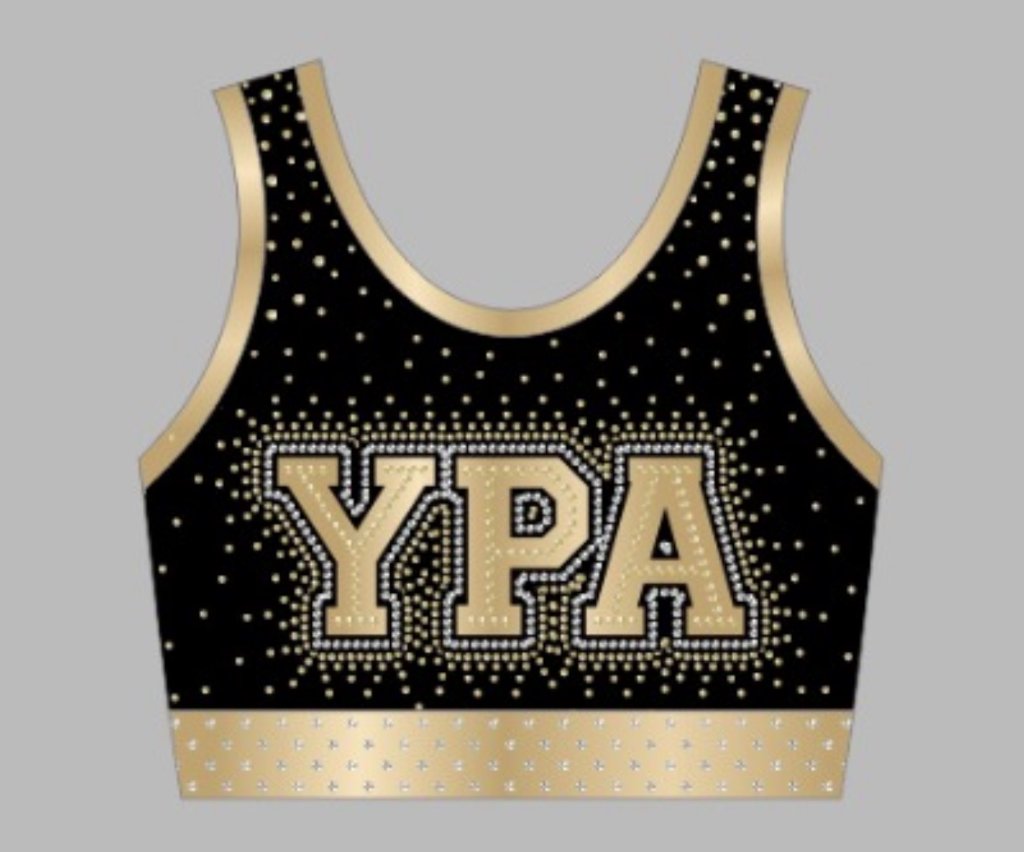 Spotlight Crop Top