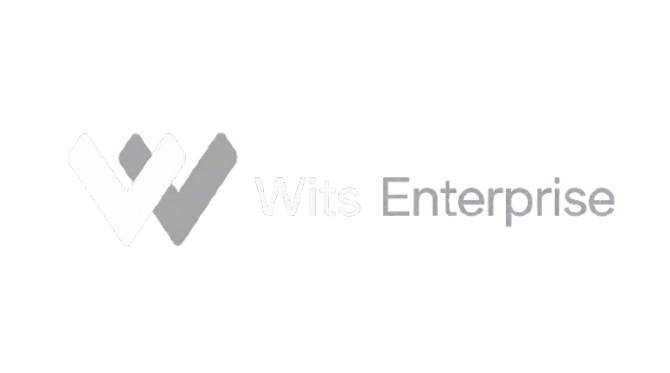 Wits Enterprise