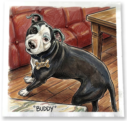 BUDDY