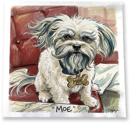 MOE