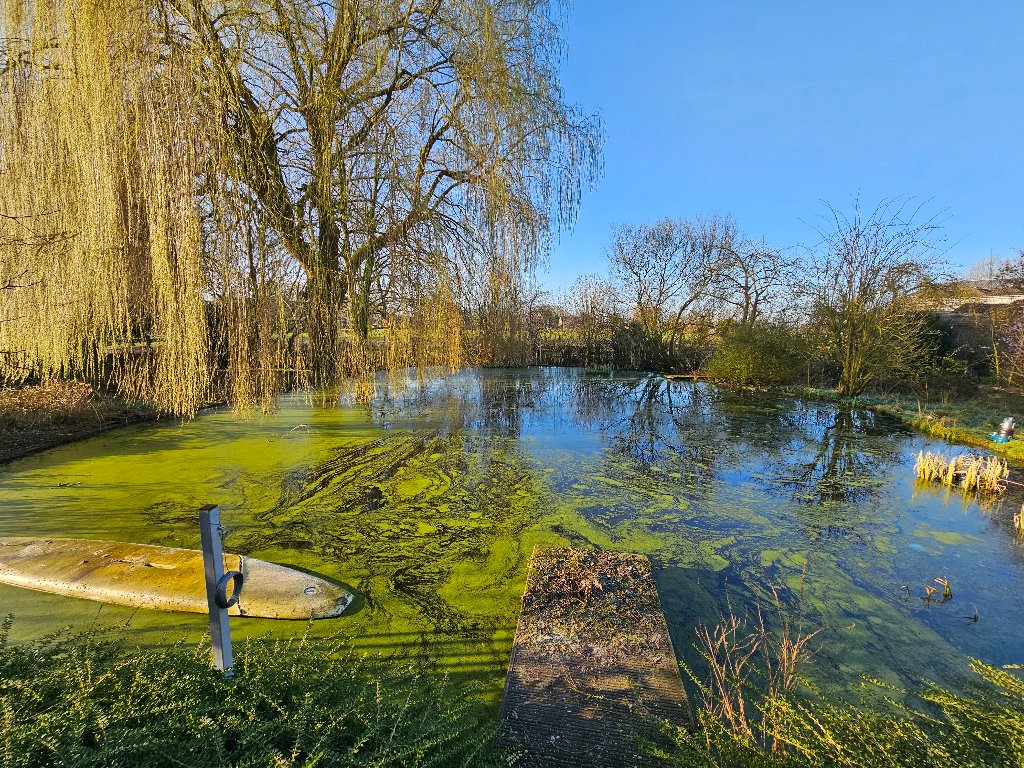 Teich im Frühjahr vorbereiten – Die 7 wichtigsten Schritte