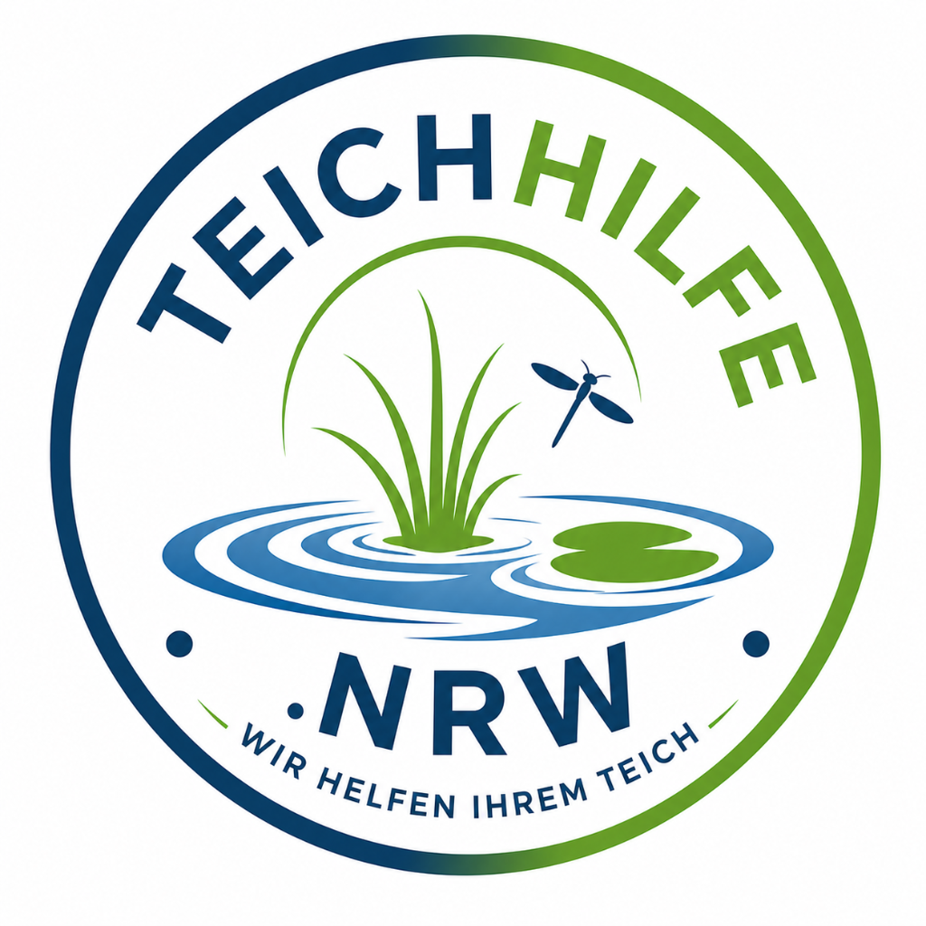 Teichfilter richtig reinigen und warten – Schritt-für-Schritt-Anleitung