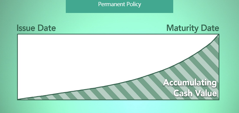 Permanent policy accumulating cash value from issue date to maturity date