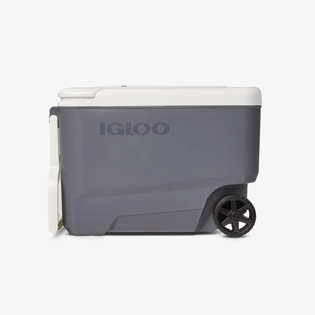 צידנית קשיחה על גלגלים 37 ליטר דגם IGLOO - MAXCOLD