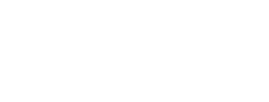 Vesica™ Capital