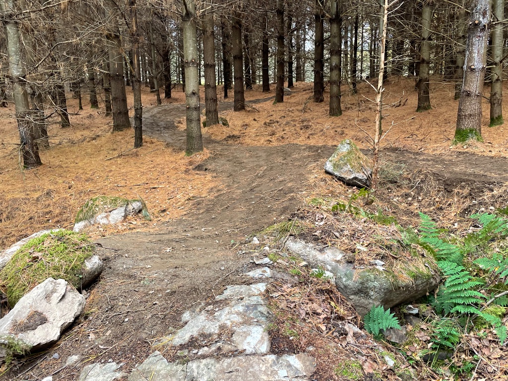 Sentier avec rochers moussus