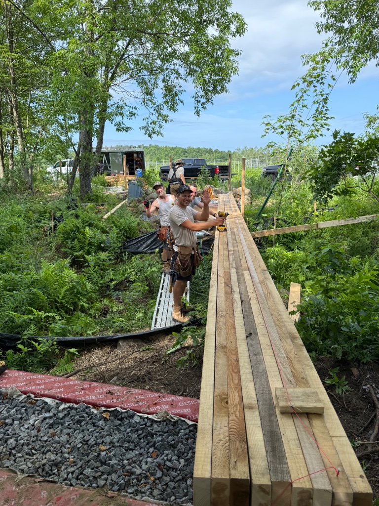 Construction d'un sentier en bois