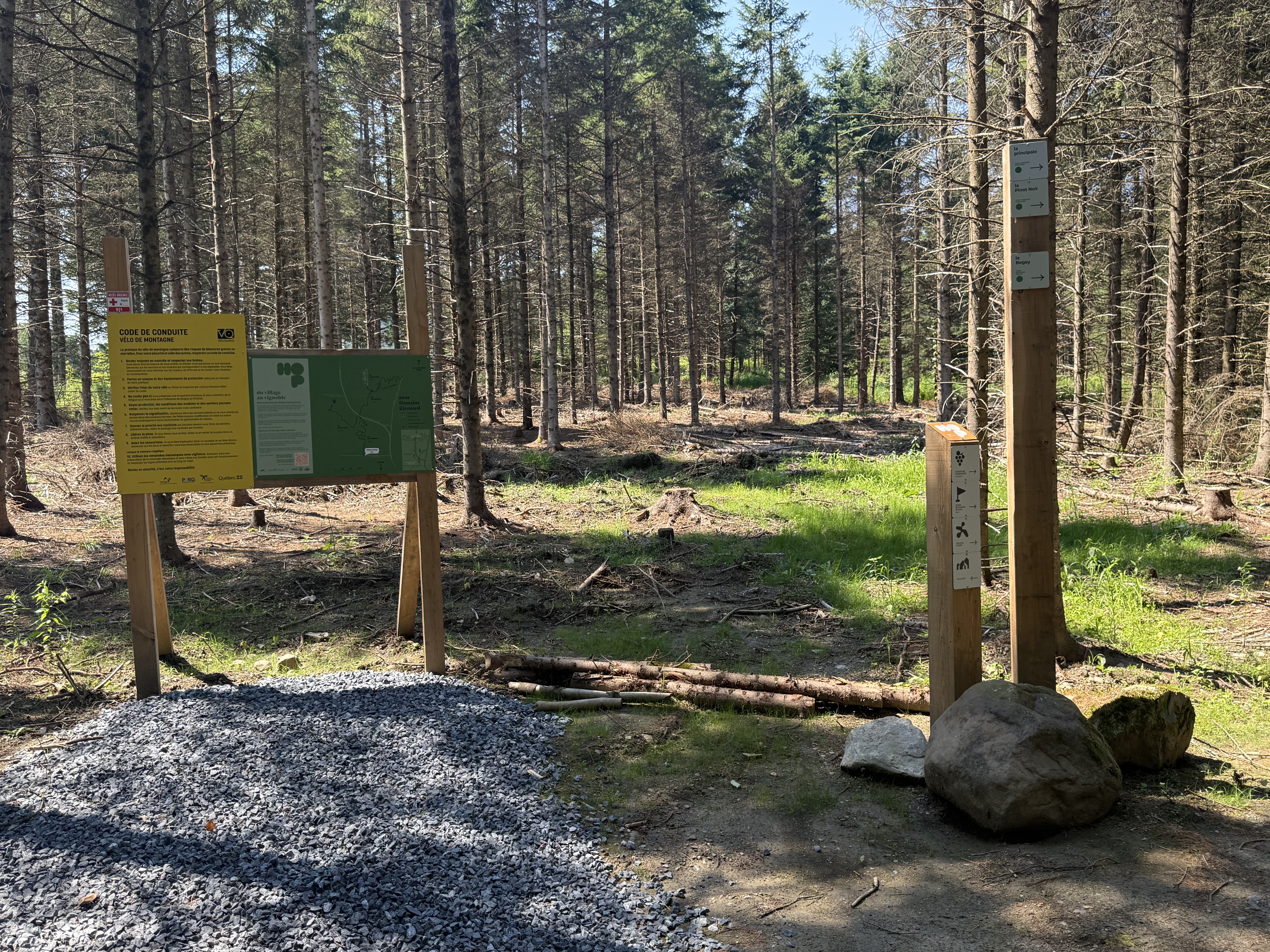 Panneau d'information en forêt de pins