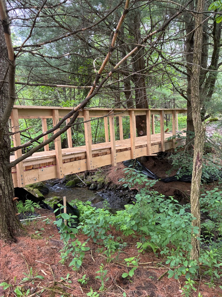 Pont de bois sur ruisseau