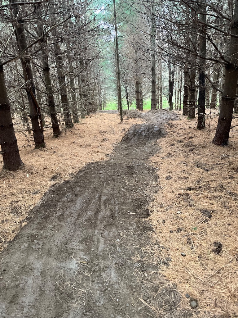 Sentier avec bosse et berme