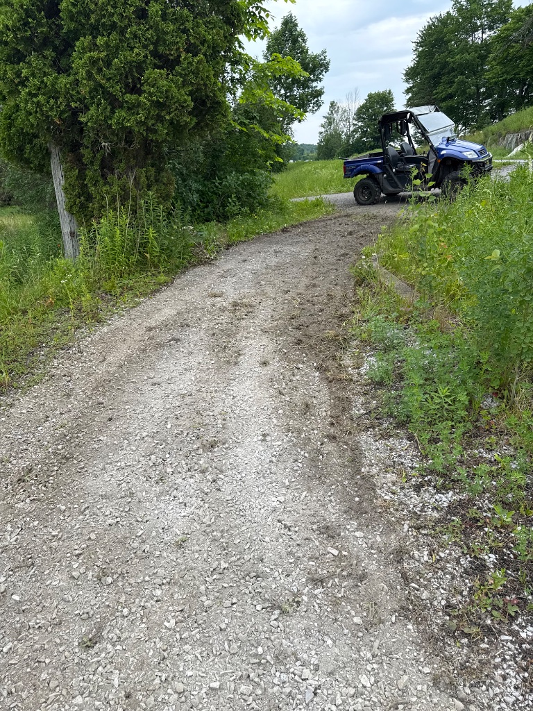 Sentier de gravier sinueux en forêt