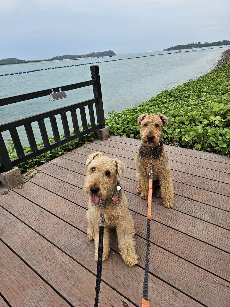 Walks
