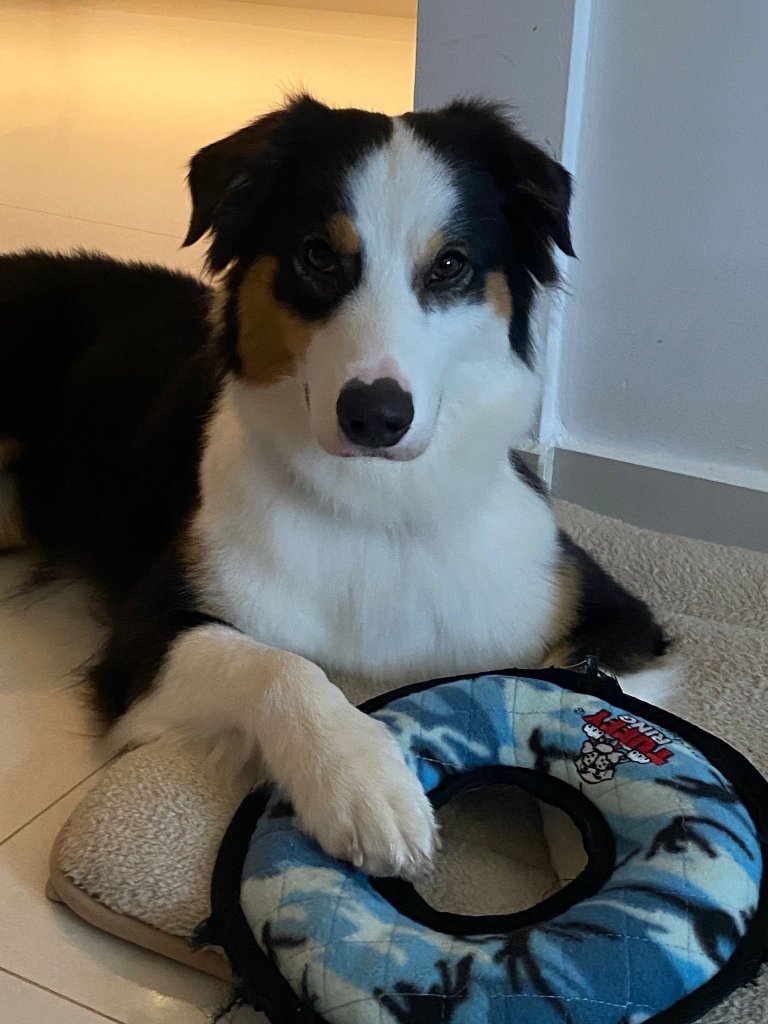 Nala