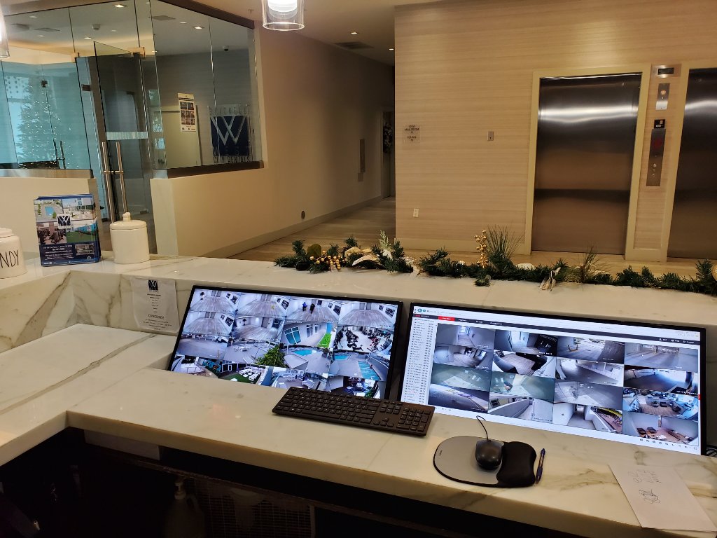 Surveillance Systems