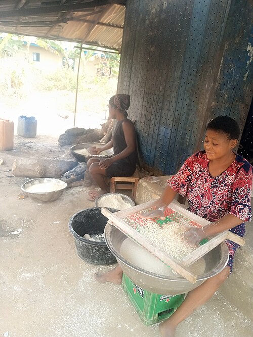 Cassava Production: Lessons Learned