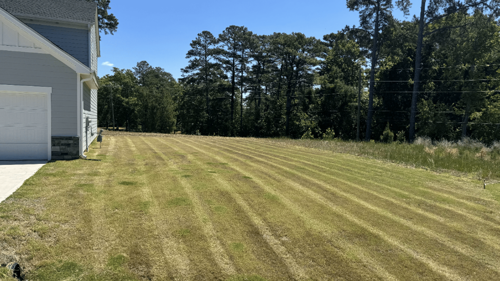 Residential Lawn Mowing