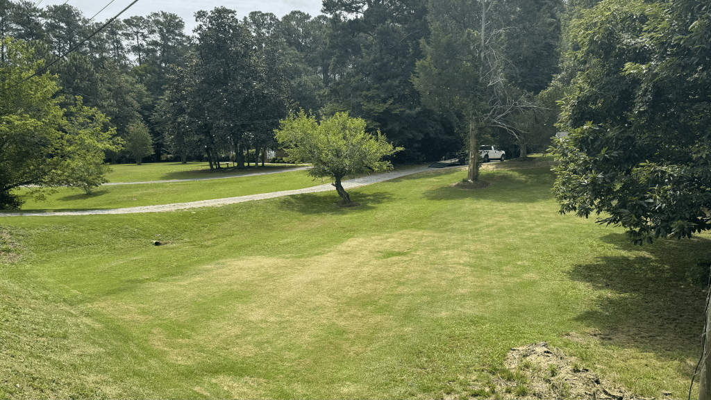 Large Residential Lawn Mowing