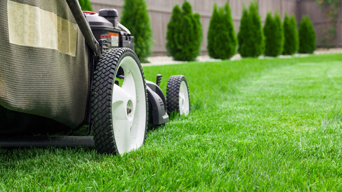 Professional lawn care in Sanford, NC
