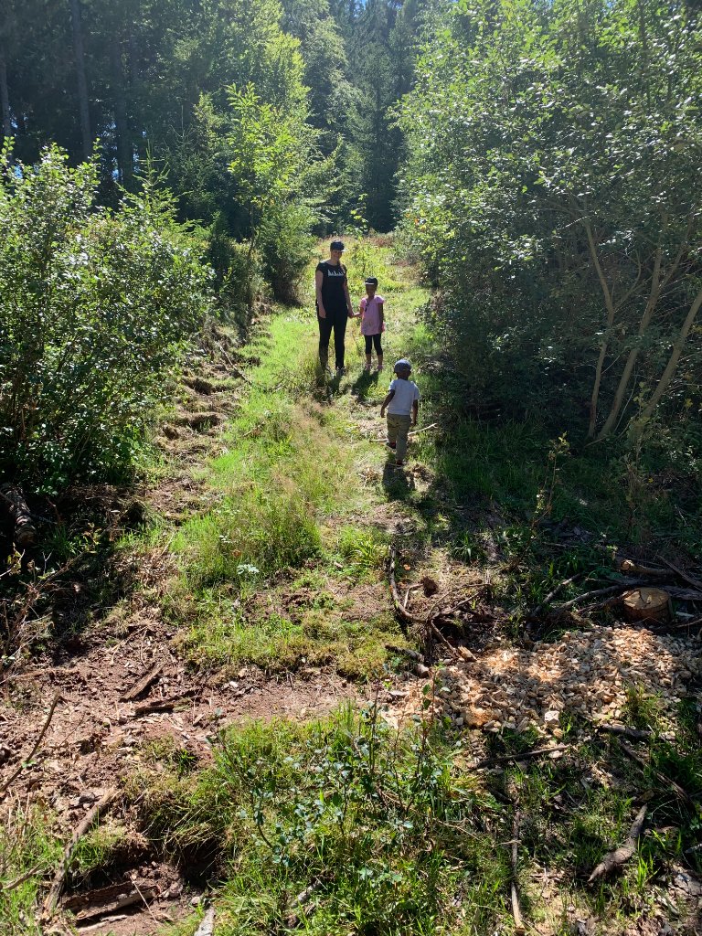Hitting the trails