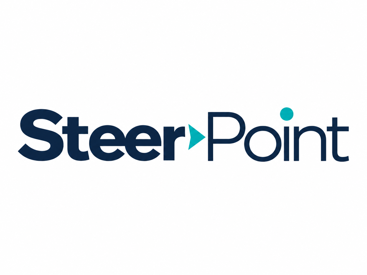 SteerPoint