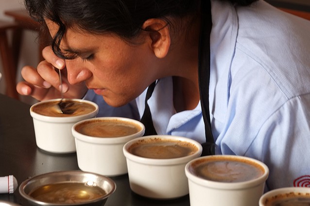 Tour Cafetalero y Productos de la Zona — Ruta del café en Chanchamayo en la Selva Central de Perú