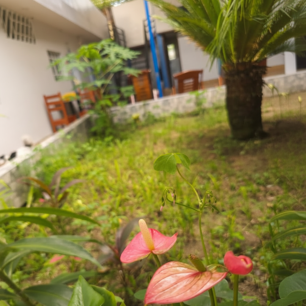 Anturios rosados — plantas nativas de la selva central