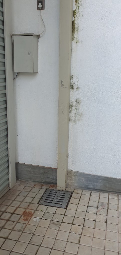 Utility Area — Electrical & Drainage Service Infrastructure