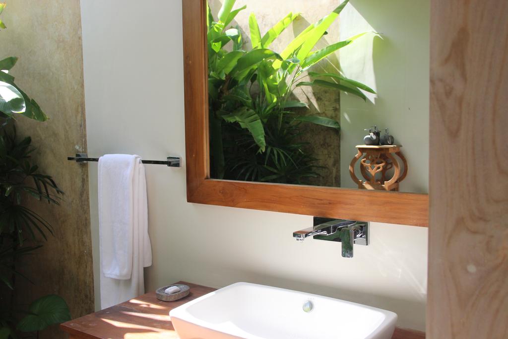 Vanity Detail — Vessel Sink & Mirror with Tropical Reflection
